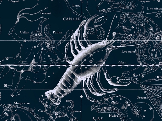 Crab Constellation