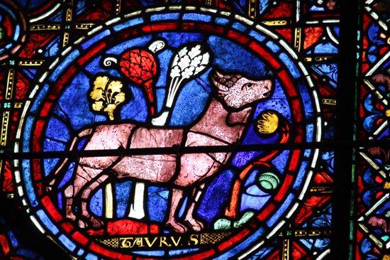 sterrenbeeld Stier, vitrail cathedrale de Chartres 